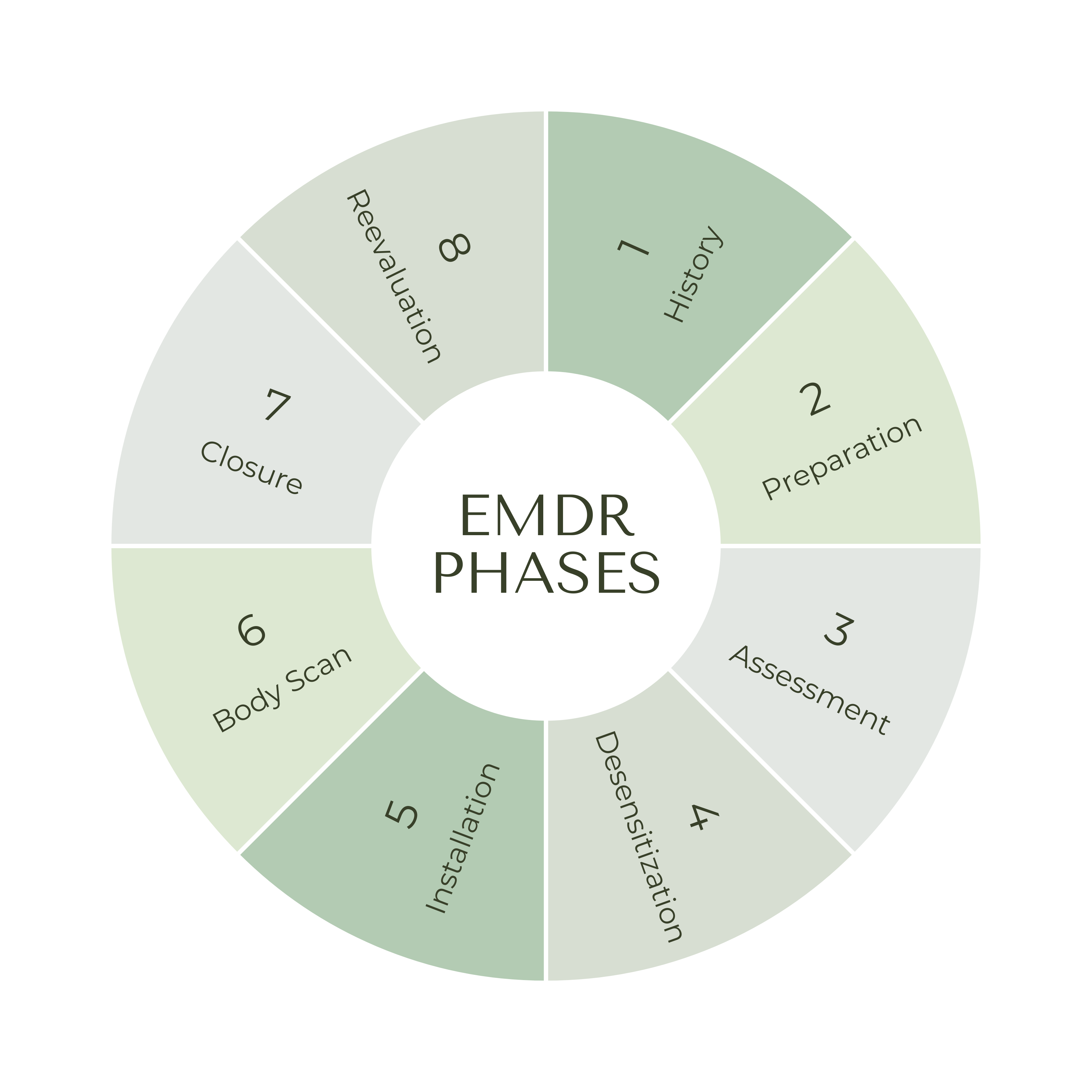 EMDR Phases